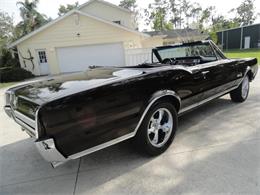 1967 Oldsmobile Cutlass Supreme (CC-2099672) for sale in Punta Gorda, Florida