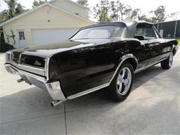 1967 Oldsmobile Cutlass Supreme (CC-2099672) for sale in Punta Gorda, Florida