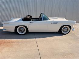 1955 Ford Thunderbird (CC-2099674) for sale in Georgetown, Texas