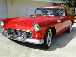 1955 Ford Thunderbird (CC-2099675) for sale in Punta Gorda, Florida