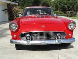 1955 Ford Thunderbird (CC-2099675) for sale in Punta Gorda, Florida