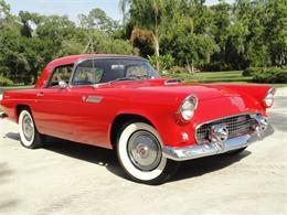 1955 Ford Thunderbird (CC-2099675) for sale in Punta Gorda, Florida