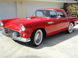 1955 Ford Thunderbird (CC-2099675) for sale in Punta Gorda, Florida