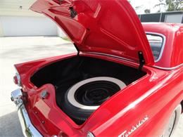 1955 Ford Thunderbird (CC-2099675) for sale in Punta Gorda, Florida