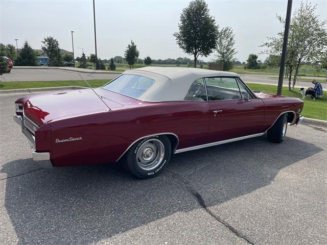 1966 Chevrolet Chevelle (CC-2099680) for sale in Waconia , Minnesota