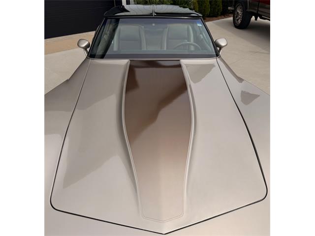 1982 Chevrolet Corvette (CC-2099693) for sale in Corydon, Indiana