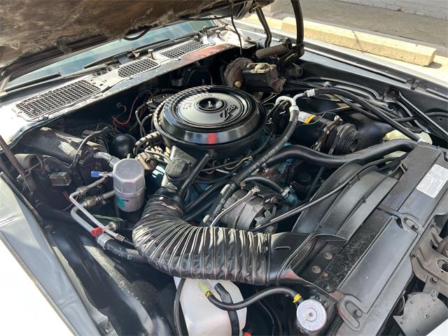1977 Chevrolet Camaro Z28 (CC-2099695) for sale in Clarkston, Michigan