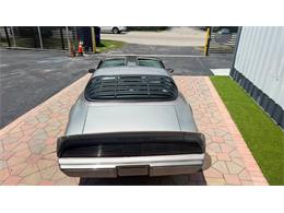 1979 Pontiac Firebird Trans Am (CC-2099697) for sale in Miami, Florida