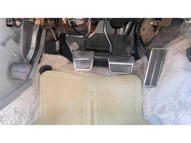 1979 Pontiac Firebird Trans Am (CC-2099697) for sale in Miami, Florida