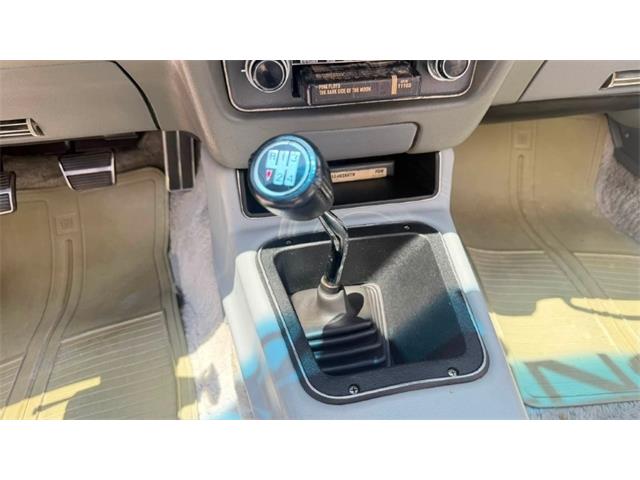 1979 Pontiac Firebird Trans Am (CC-2099697) for sale in Miami, Florida