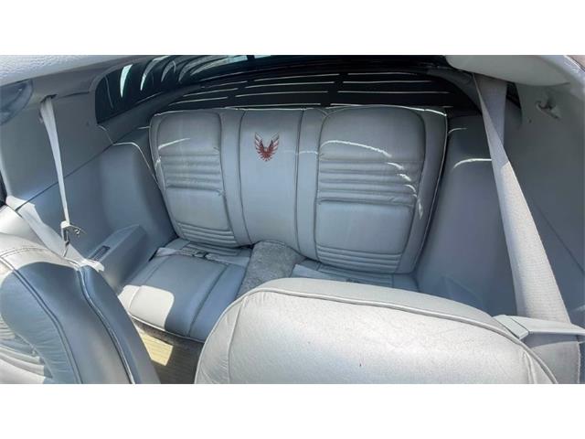 1979 Pontiac Firebird Trans Am (CC-2099697) for sale in Miami, Florida