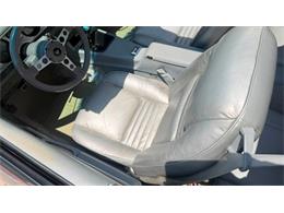1979 Pontiac Firebird Trans Am (CC-2099697) for sale in Miami, Florida