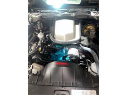 1979 Pontiac Firebird Trans Am (CC-2099697) for sale in Miami, Florida