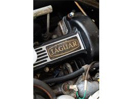 1974 Jaguar E-Type (CC-2099703) for sale in Southampton, New York