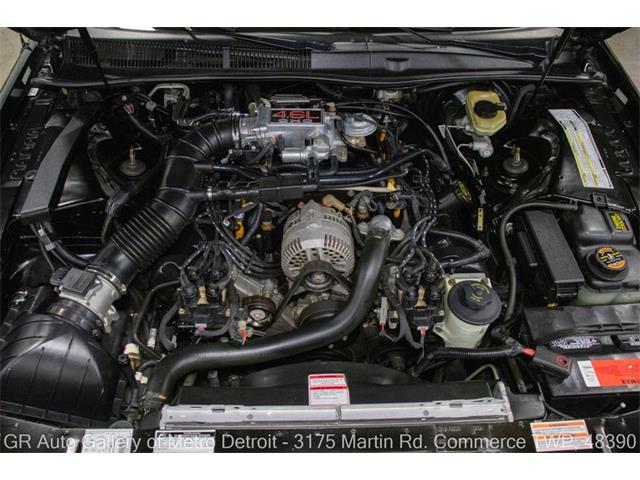 1996 Ford Thunderbird (CC-2099728) for sale in Kentwood, Michigan