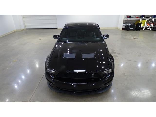 2007 Ford Shelby GT500  (CC-2099747) for sale in O'Fallon, Illinois