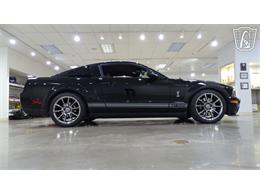 2007 Ford Shelby GT500  (CC-2099747) for sale in O'Fallon, Illinois