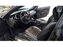 2007 Ford Shelby GT500  (CC-2099747) for sale in O'Fallon, Illinois
