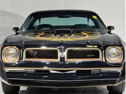 1976 Pontiac Firebird (CC-2099751) for sale in Depew, New York