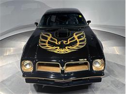 1976 Pontiac Firebird (CC-2099751) for sale in Depew, New York