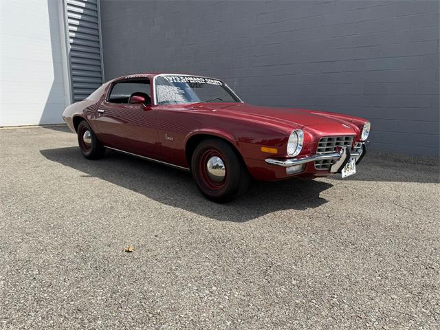 1973 Chevrolet Camaro (CC-2090978) for sale in Pittsburgh, Pennsylvania