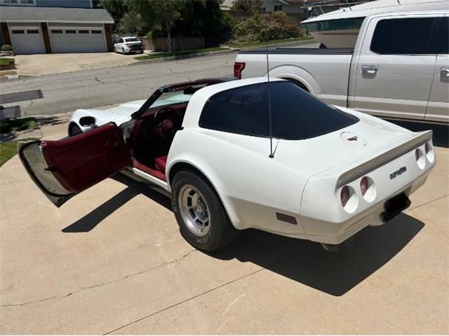 1982 Chevrolet Corvette (CC-2090980) for sale in Cadillac, Michigan