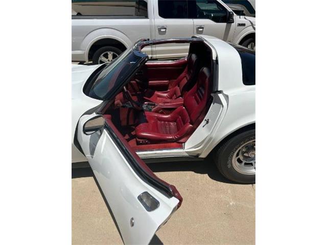 1982 Chevrolet Corvette (CC-2090980) for sale in Cadillac, Michigan