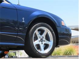 2001 Ford Mustang (CC-2099801) for sale in Mesa, Arizona