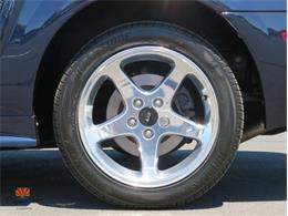 2001 Ford Mustang (CC-2099801) for sale in Mesa, Arizona