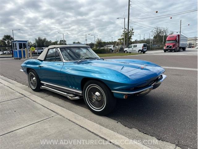 1966 Chevrolet Corvette (CC-2099804) for sale in Clearwater, Florida
