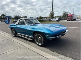 1966 Chevrolet Corvette (CC-2099804) for sale in Clearwater, Florida