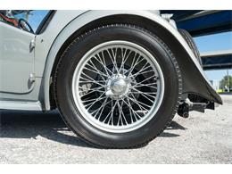 1948 MG TC (CC-2099805) for sale in Fort Lauderdale, Florida