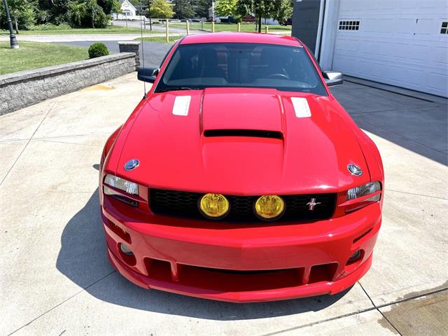 2009 Ford Mustang (CC-2099810) for sale in Hilton, New York