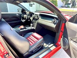2009 Ford Mustang (CC-2099810) for sale in Hilton, New York