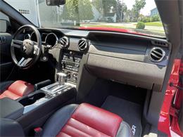 2009 Ford Mustang (CC-2099810) for sale in Hilton, New York