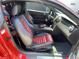2009 Ford Mustang (CC-2099810) for sale in Hilton, New York