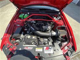 2009 Ford Mustang (CC-2099810) for sale in Hilton, New York
