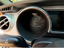 2007 Ford Mustang (CC-2099816) for sale in Newfield, New Jersey