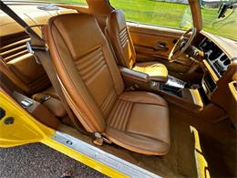 1979 Pontiac Firebird Formula Trans Am (CC-2099835) for sale in Sioux City, Iowa