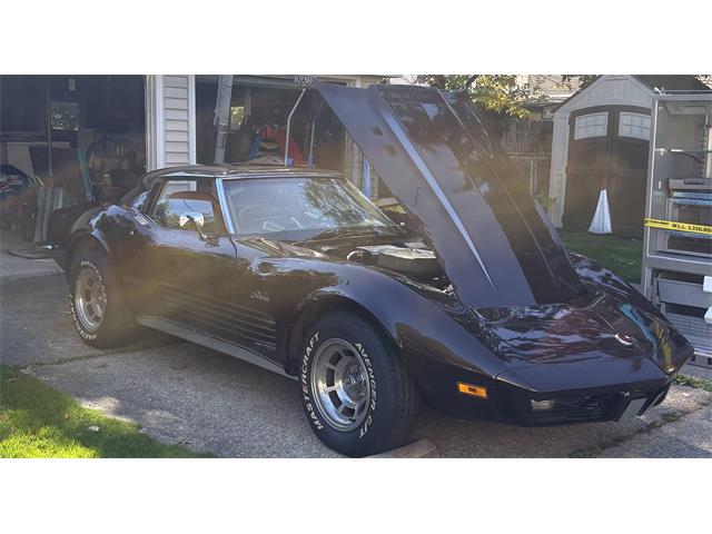 1973 Chevrolet Corvette Stingray (CC-2099879) for sale in Lakewood, Ohio