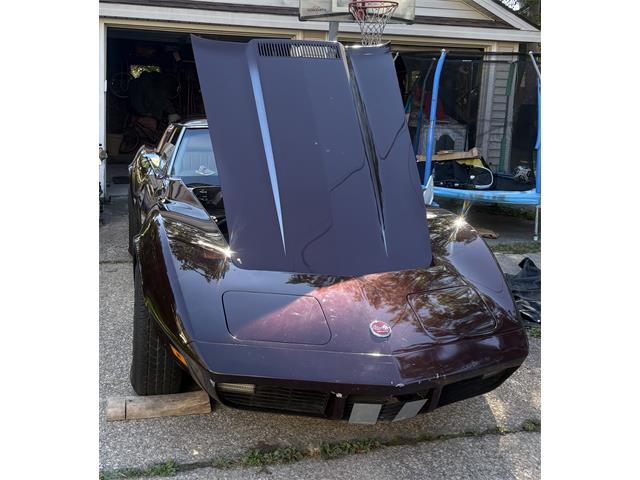 1973 Chevrolet Corvette Stingray (CC-2099879) for sale in Lakewood, Ohio