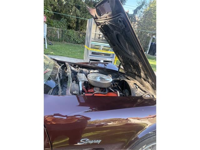1973 Chevrolet Corvette Stingray (CC-2099879) for sale in Lakewood, Ohio