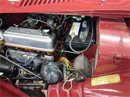 1951 MG TD (CC-2099886) for sale in Englewood, Colorado