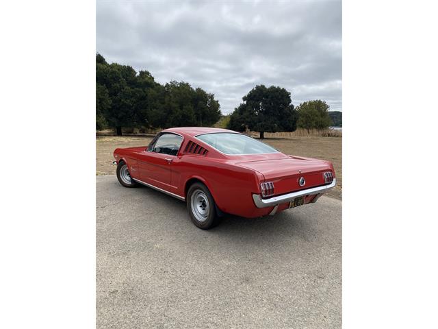1965 Ford Mustang Fastback (CC-2099887) for sale in novato, California