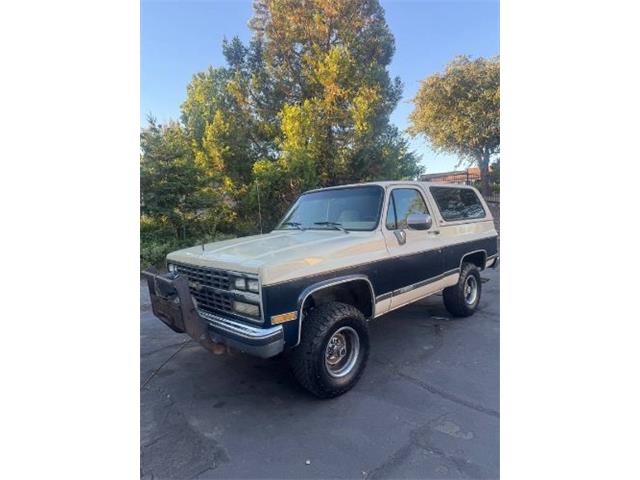 1989 Chevrolet Blazer (CC-2090992) for sale in Cadillac, Michigan