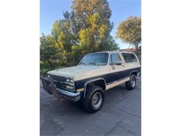 1989 Chevrolet Blazer (CC-2090992) for sale in Cadillac, Michigan