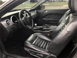 2008 Ford Mustang Bullitt (CC-2099932) for sale in Yakima, Washington