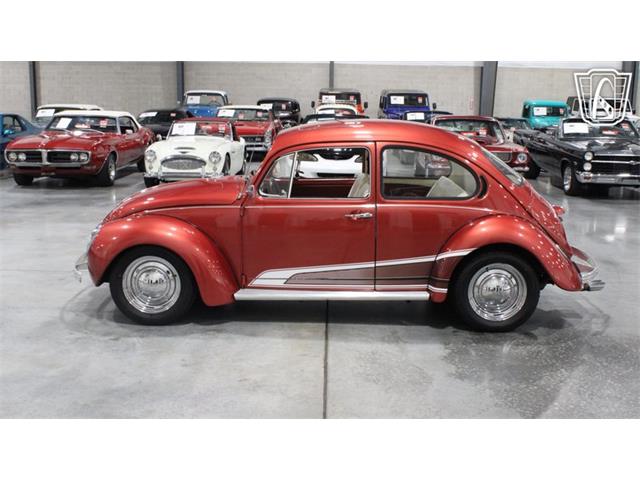 1971 Volkswagen Beetle (CC-2099997) for sale in Runnemede, New Jersey