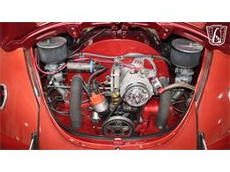 1971 Volkswagen Beetle (CC-2099997) for sale in Runnemede, New Jersey