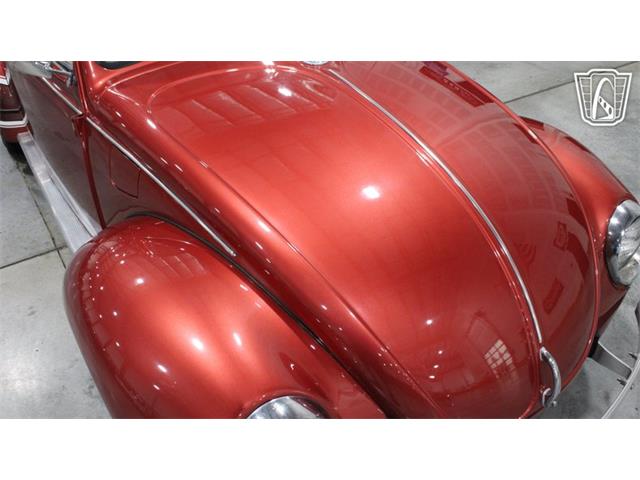 1971 Volkswagen Beetle (CC-2099997) for sale in Runnemede, New Jersey